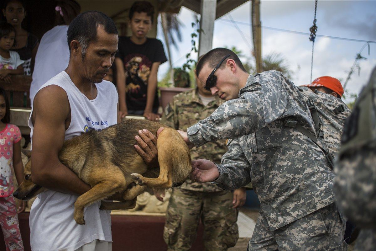 Yavru Aşı Programı