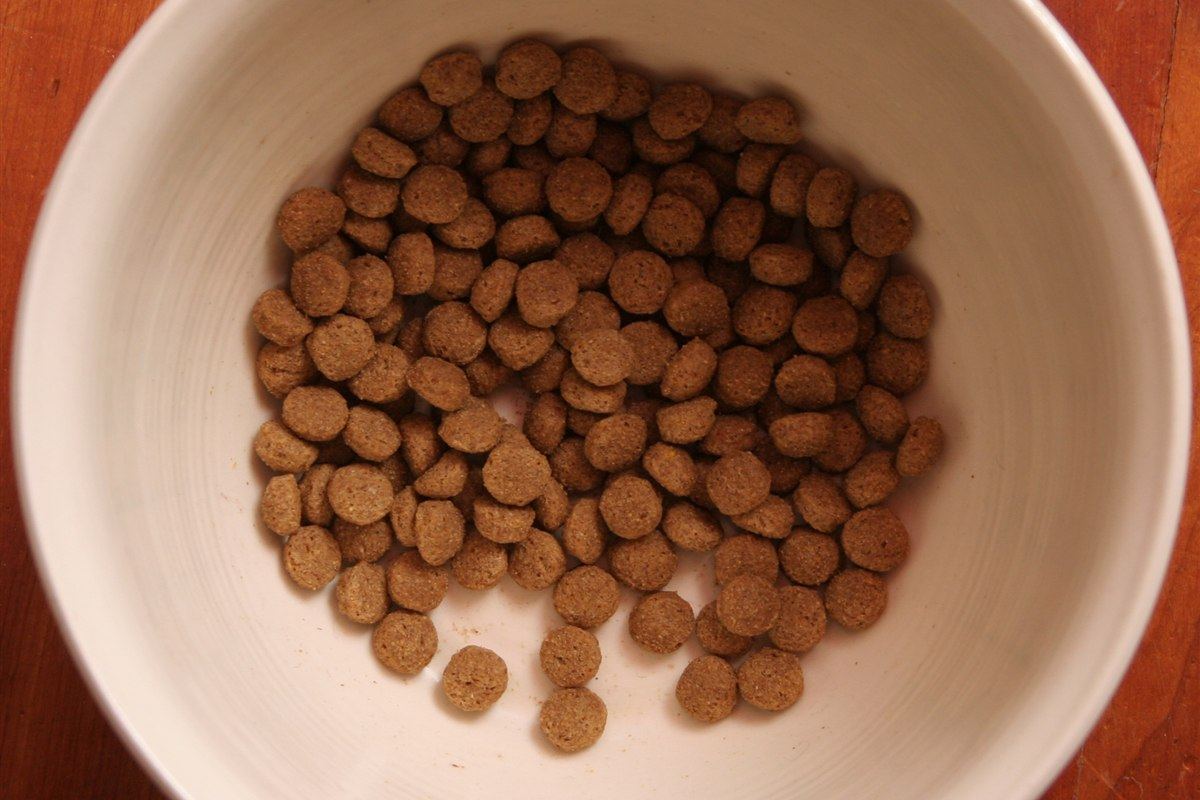 Beslenme Danışmanlığı