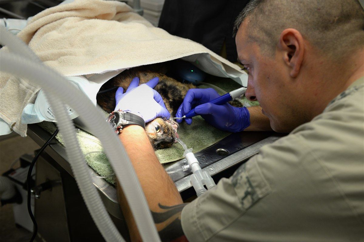 Diş Taşı Temizliği