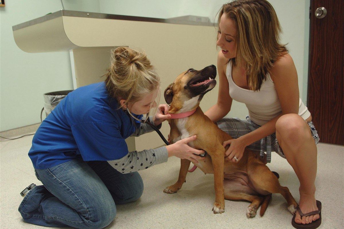 Genel Sağlık Muayenesi