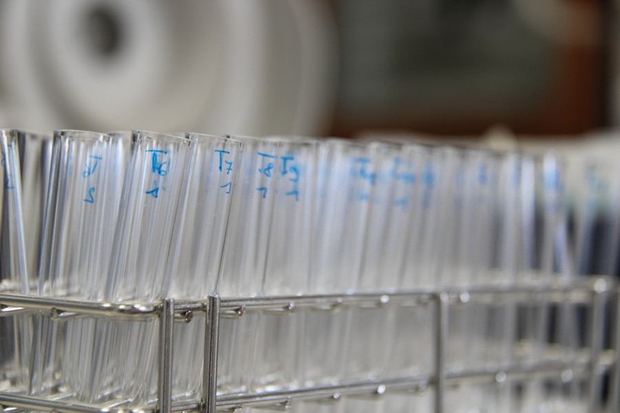 Egzotik Dostlarda Düzenli Kontrolün Önemi